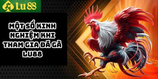 Hướng dẫn đặt cược đá gà Lu88 cho người mới dễ theo